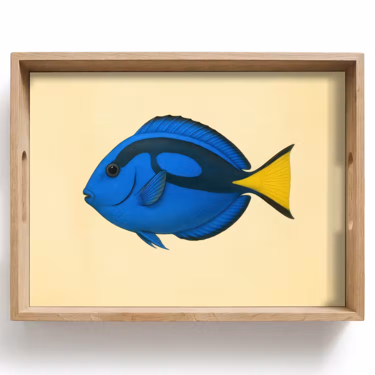 Tablett - Blau - Dory - Fisch - Schwanzflosse — 1