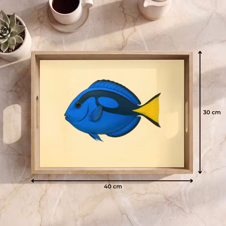 Tablett - Blau - Dory - Fisch - Schwanzflosse — 7
