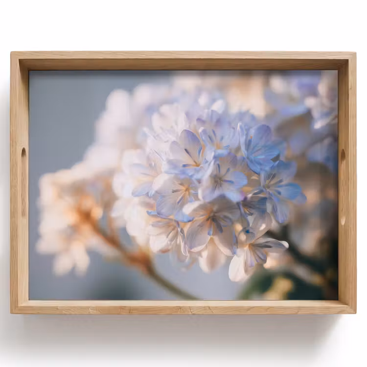 Tablett - Blumen - Hellblau - Unscharf - Büschel — 1