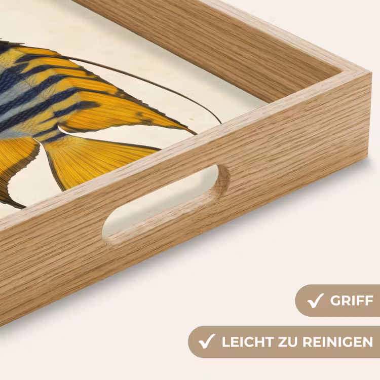 Tablett - Fische - Dekorativ - Flossen - Illustration — 8
