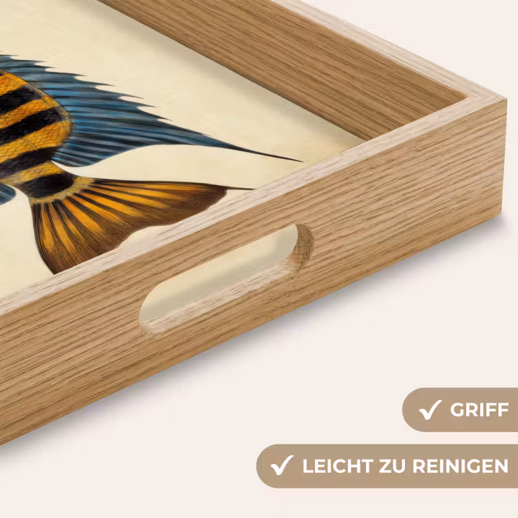 Tablett - Fische - Tropisch - Streifen - Flossen — 8