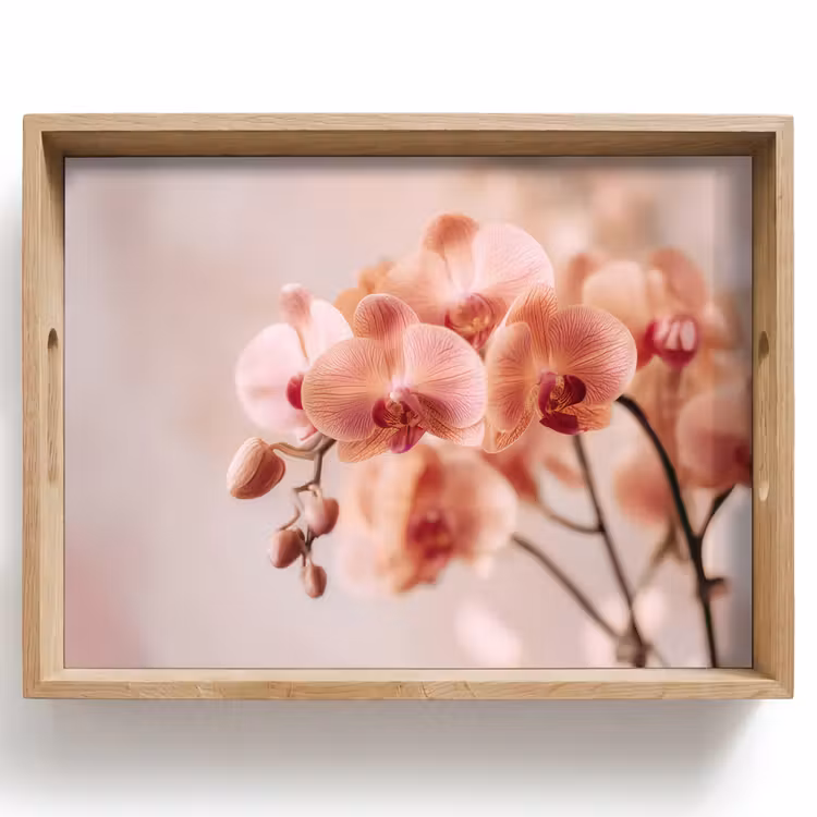 Tablett - Orchidee - Blumen - Rosa - Blütenblätter — 1