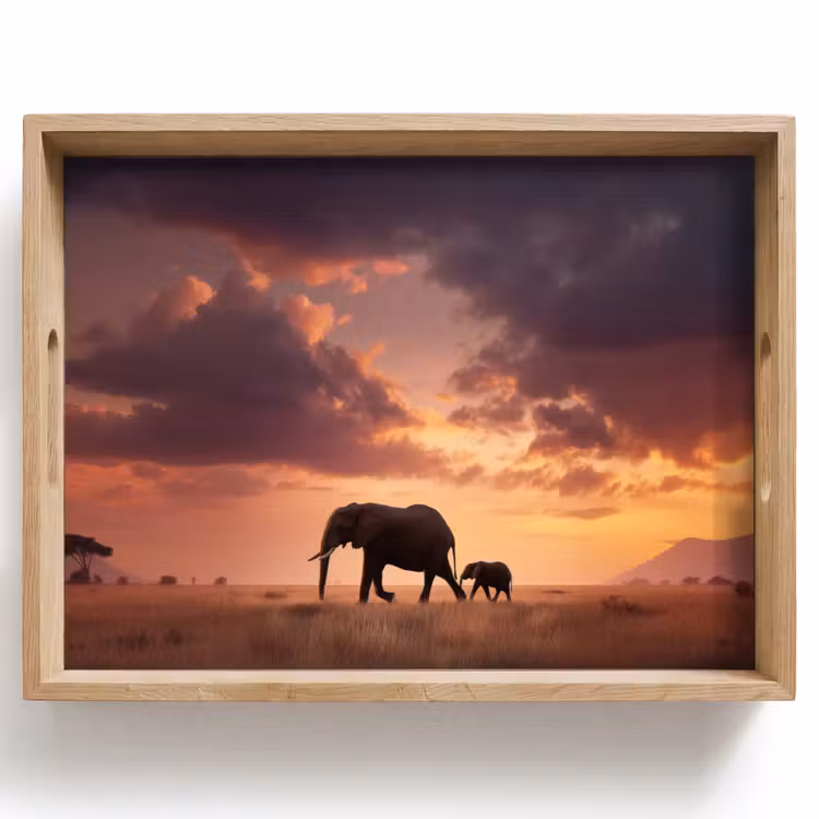 Tablett - Elefanten - Grasland - Sonnenuntergang — 1