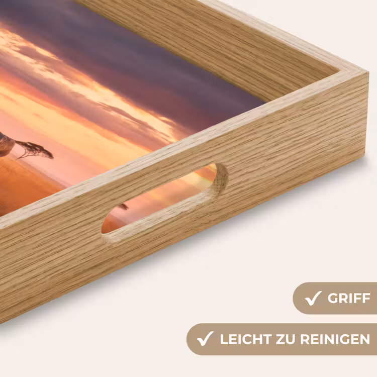 Tablett - Elefantengruppe - Offene Ebene - Sonne — 8