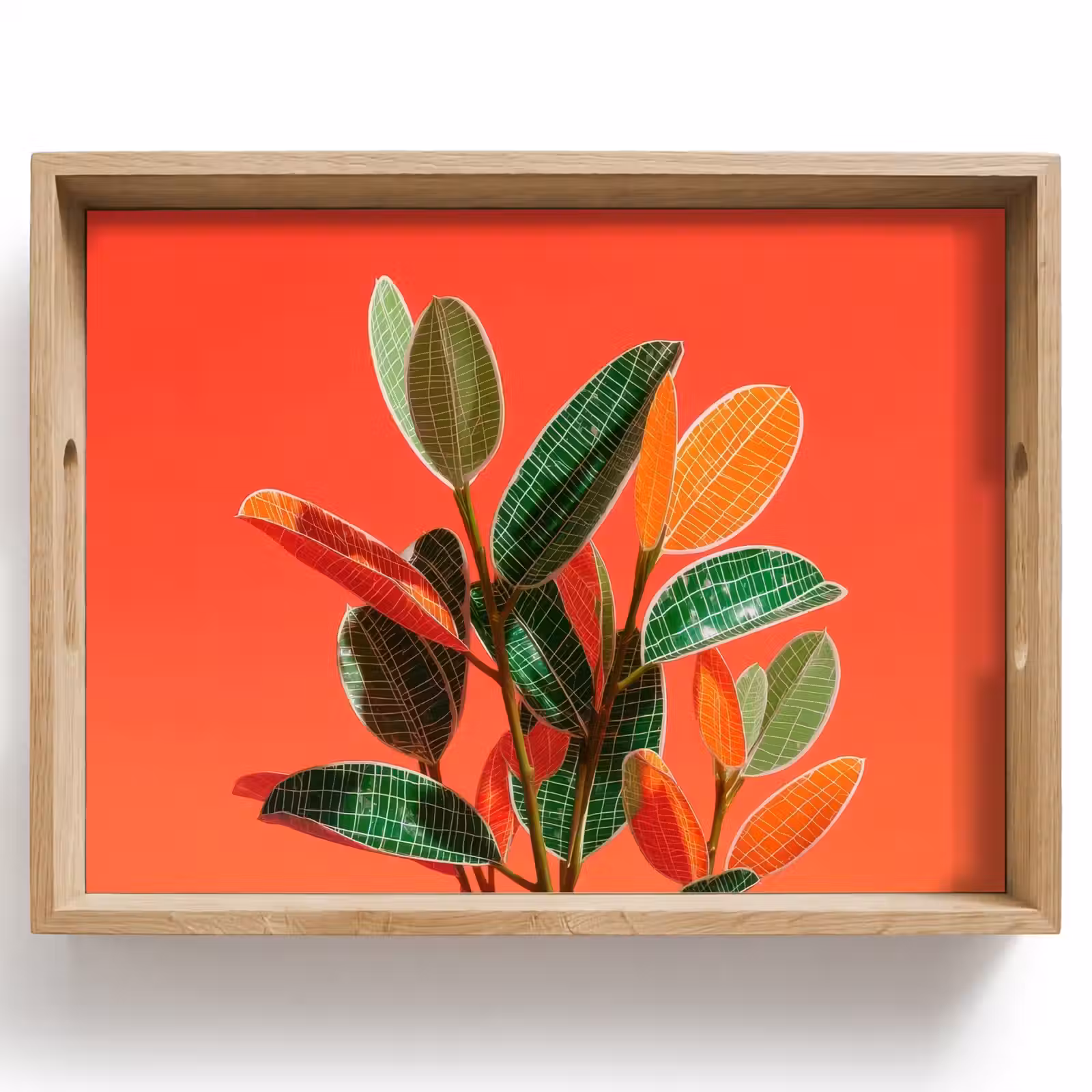 Tablett - Blätter - Adern - Orange - Textur — 1