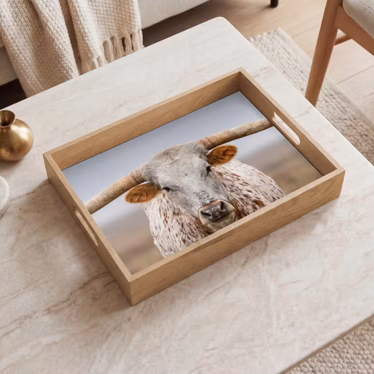 Tablett - Longhorn - Grasfeld - Tier — 2