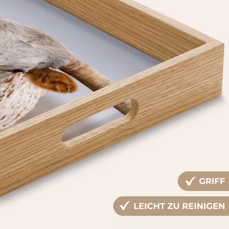 Tablett - Longhorn - Grasfeld - Tier — 8