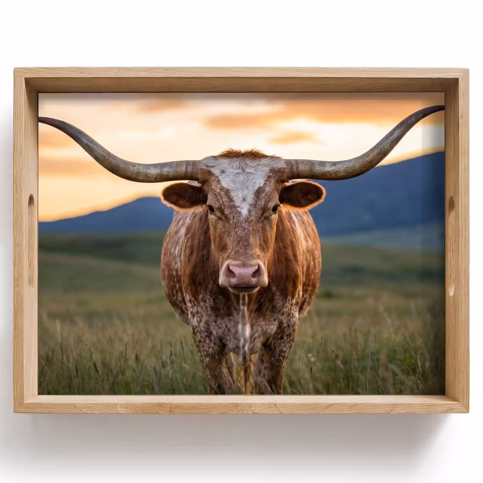 Tablett - Longhorn - Landschaft - Sonnenuntergang — 1