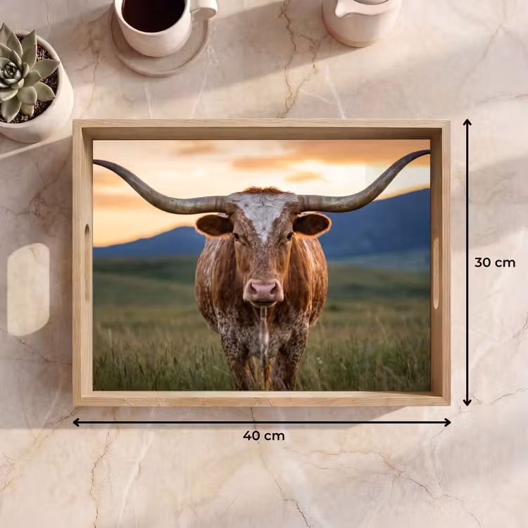 Tablett - Longhorn - Landschaft - Sonnenuntergang — 7