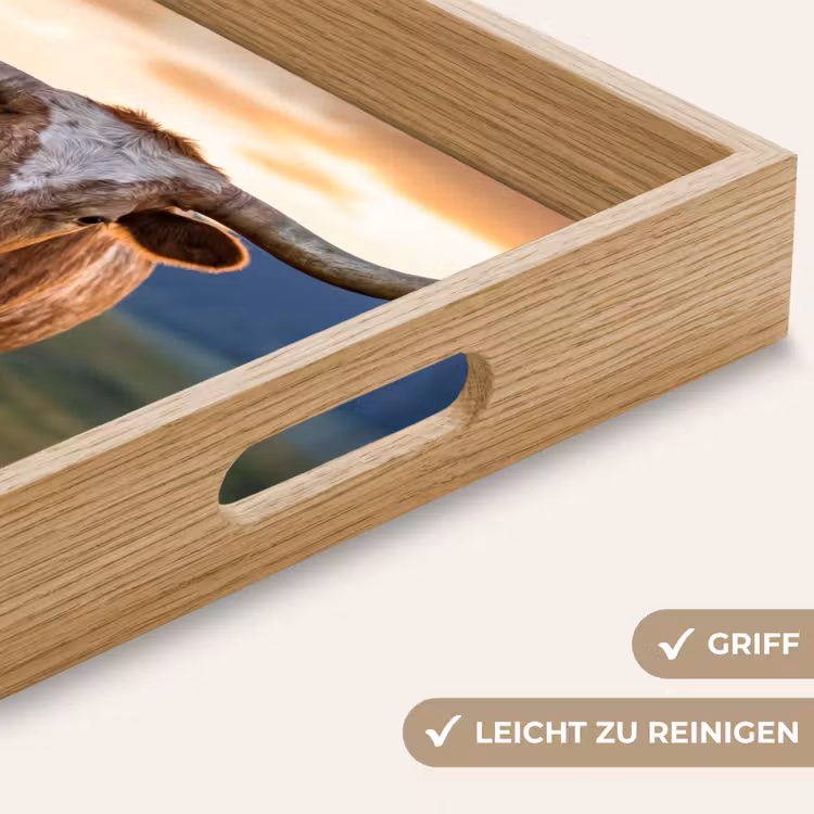 Tablett - Longhorn - Landschaft - Sonnenuntergang — 8