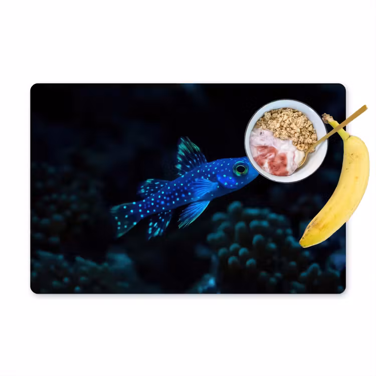 Tischset - Fische - Punkte - Koralle - Blau — 1