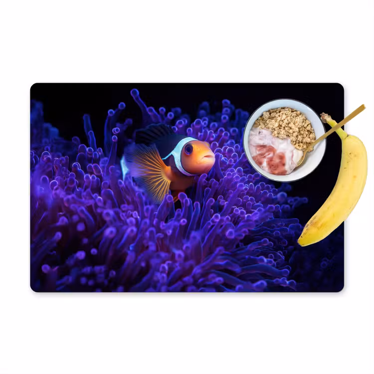 Tischset - Koralle - Fisch - Orange - Meer — 1