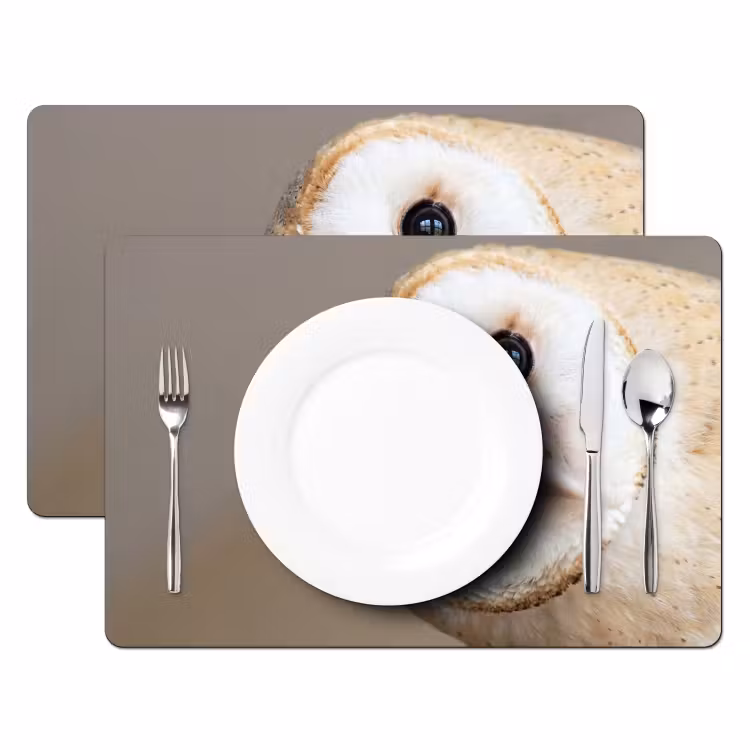 Tischset - 6 Stück - Eule - Braun - Weiß - 6 Stück — 2