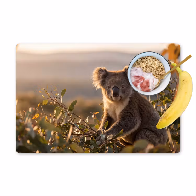 Tischset - 6 Stück - Koala - Blätter - Morgenlicht - 6 Stück — 1