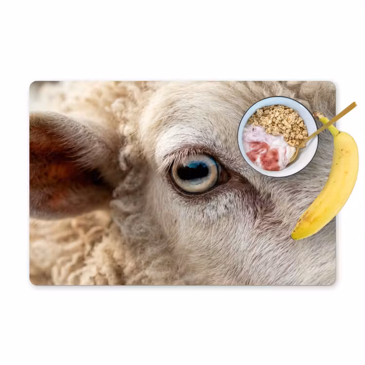 Tischset - 6 Stück - Schaf - Auge - Weiß - 6 Stück — 1