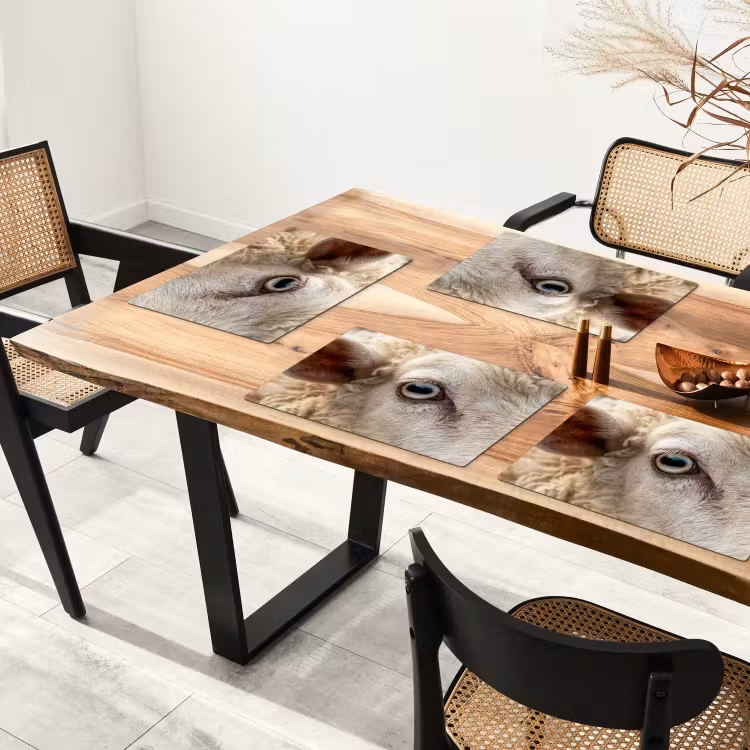 Tischset - 6 Stück - Schaf - Auge - Weiß - 6 Stück — 4