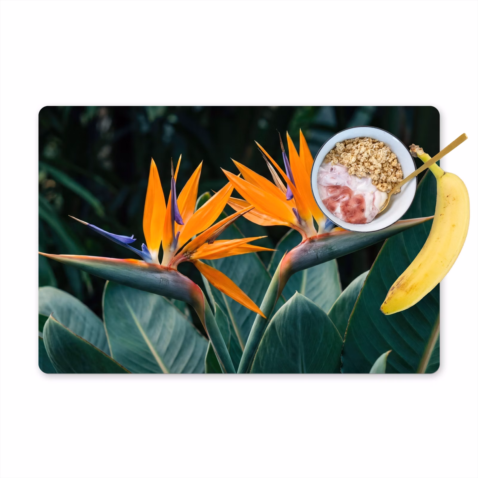 Tischset - 6 Stück - Paradiesvogel - Blume - Exotisch - 6 Stück — 1