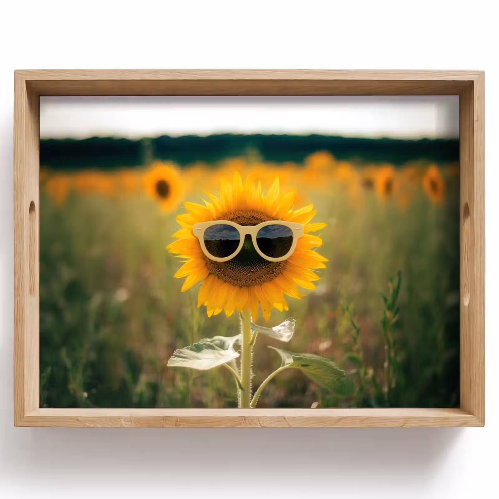 Tablett - Sonnenblume - Feld - Sonnenbrille — 1