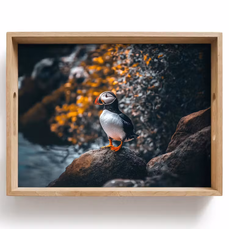 Tablett - Papagei - Vogel - Felsen - Weiß — 1