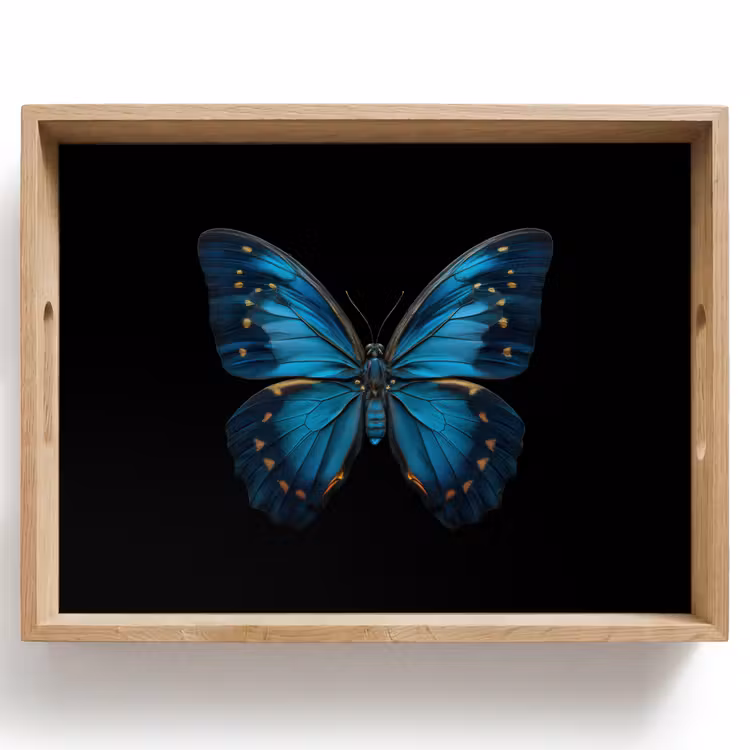 Tablett - Schmetterling - Blau - Kontrast — 1