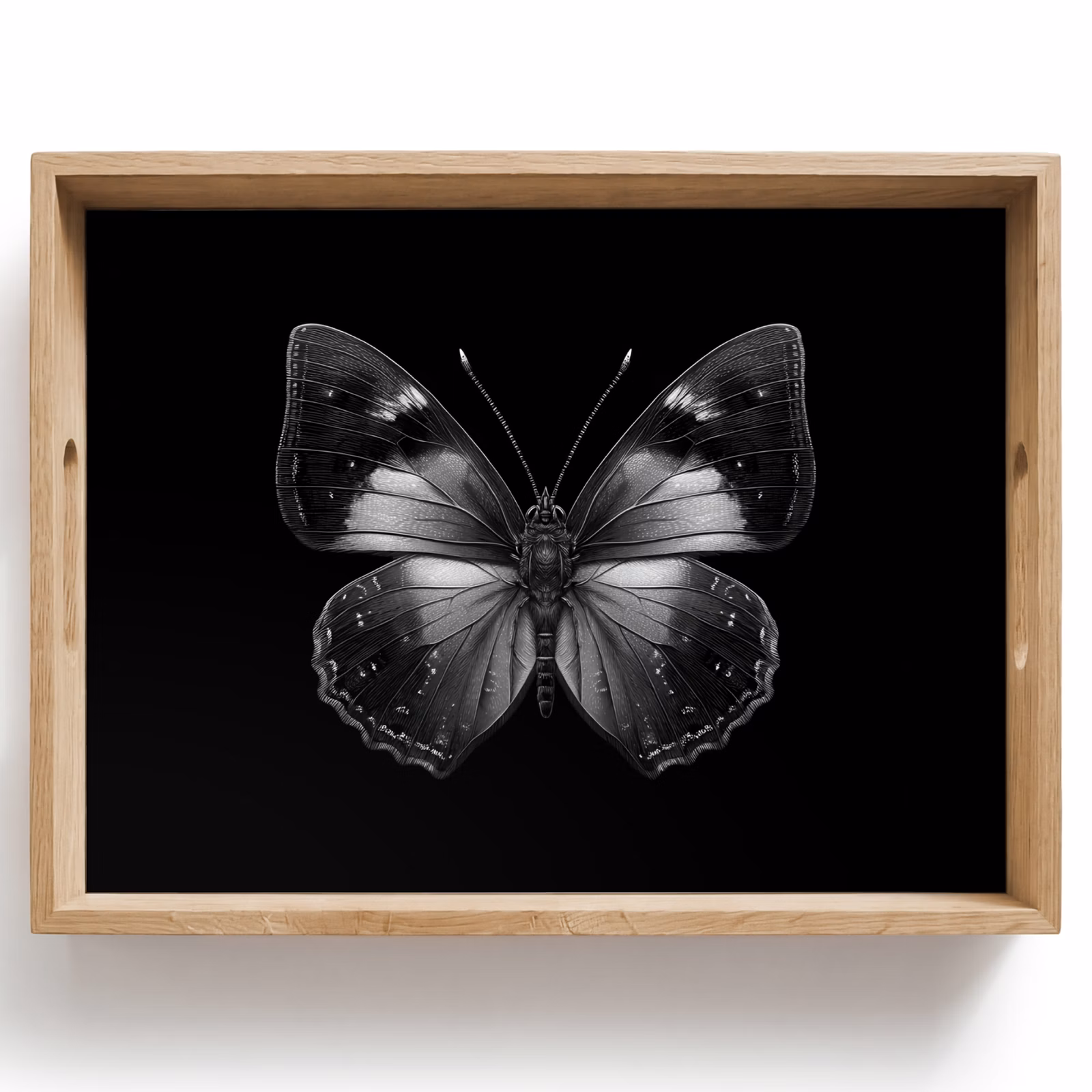 Tablett - Schmetterling - Grau - Geheimnisvoll — 1