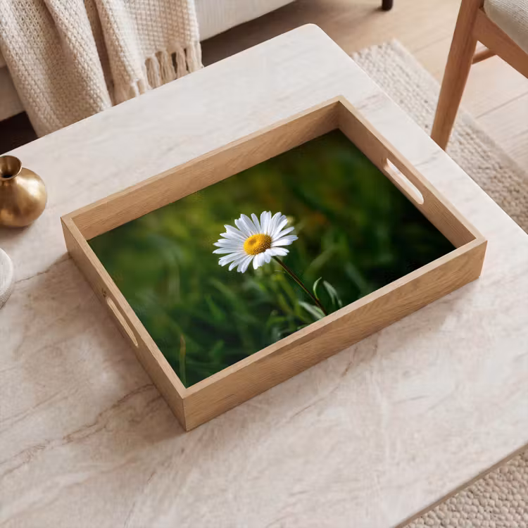Tablett - Weiß - Gänseblümchen - Blume - Gras — 2