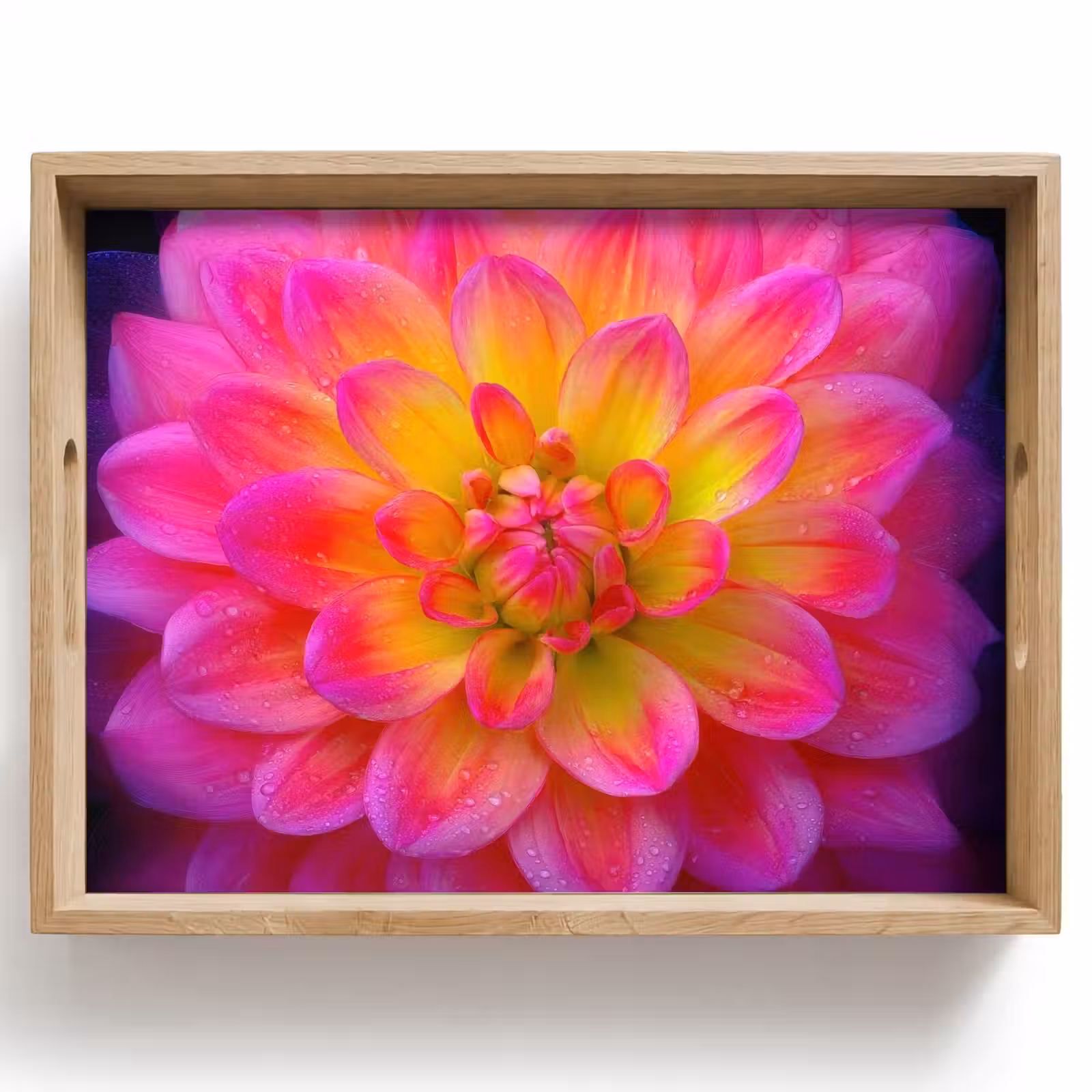Tablett - Rosa - Dahlie - Farbenfroh — 1