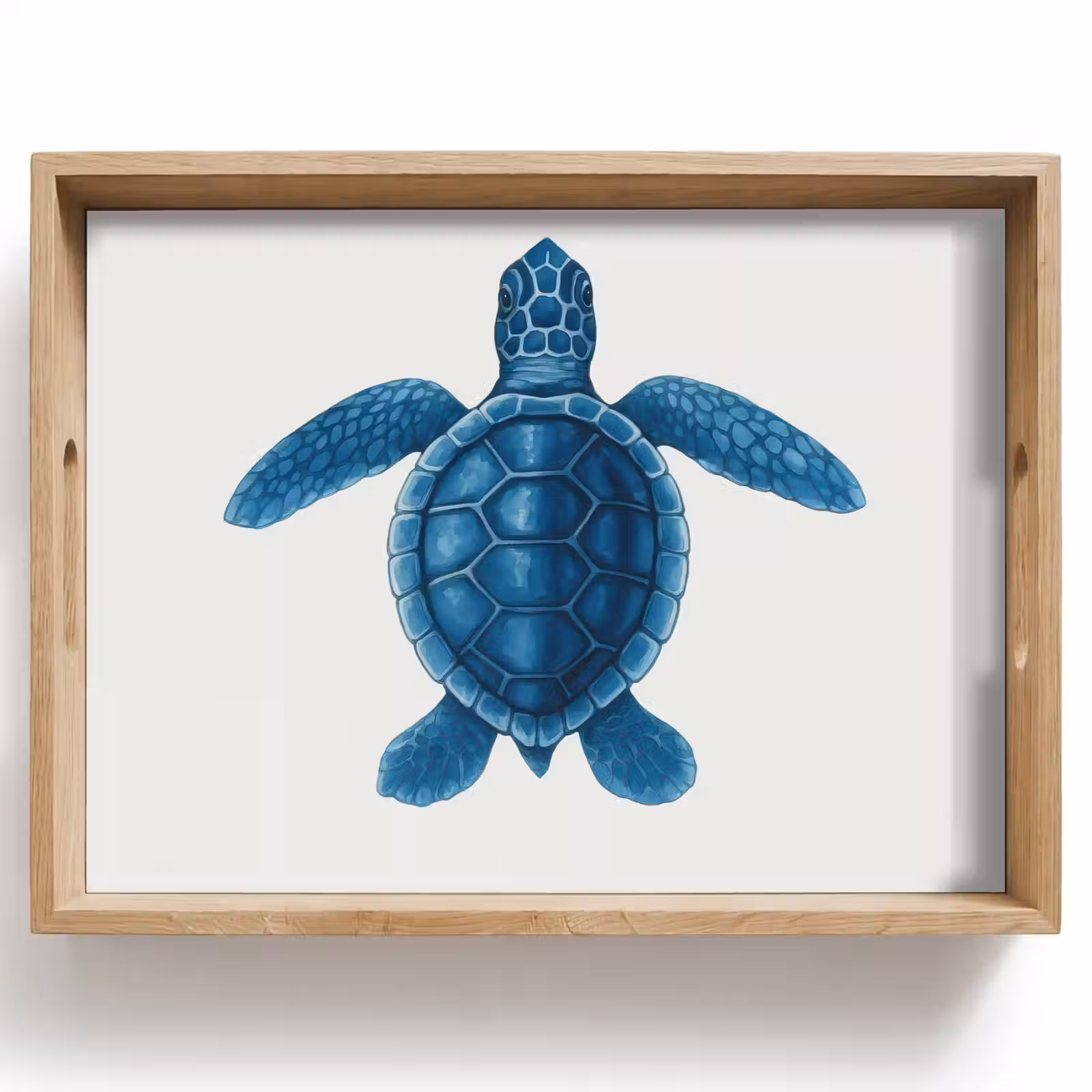 Tablett - Schildkröte - Blau - Schild — 1