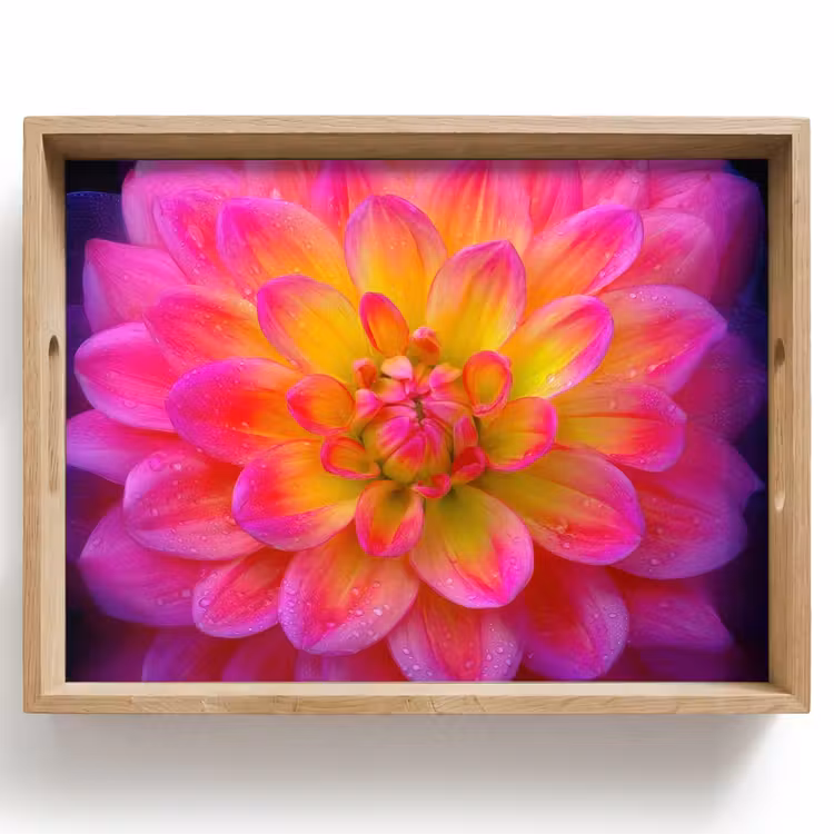 Tablett - Rosa - Dahlie - Farbenfroh — 1