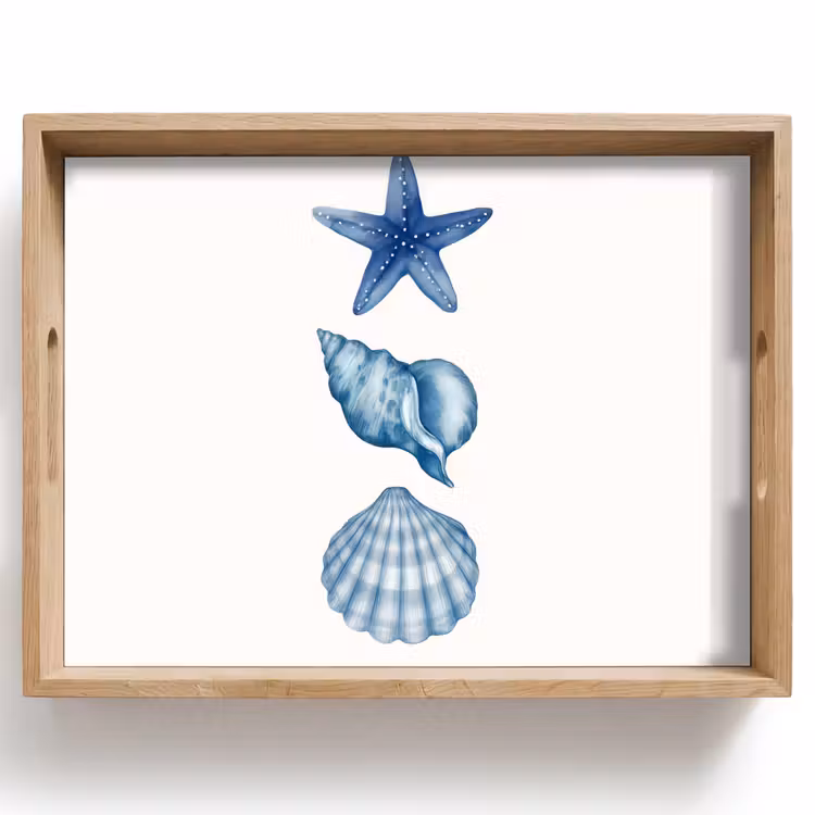Tablett - Seestern - Muscheln - Blau — 1