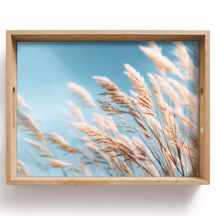 Tablett - Ziergras - Wind - Hellbraun — 1