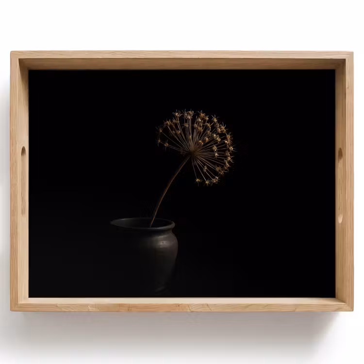 Tablett - Zwiebel - Getrocknet - Vase - Schwarz — 1