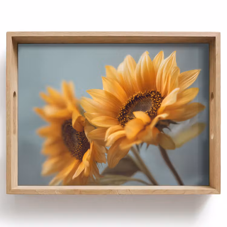 Tablett - Sonnenblumen - Gelb - Unscharf — 1