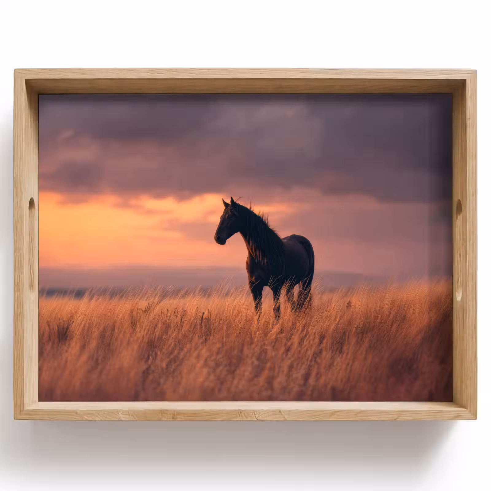 Tablett - Pferd - Wolken - Offenes Feld — 1