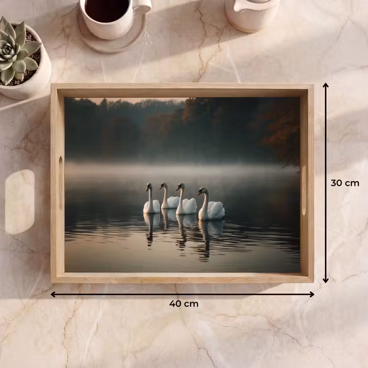 Tablett - Schwäne - Weiß - Wasser - Nebel — 7
