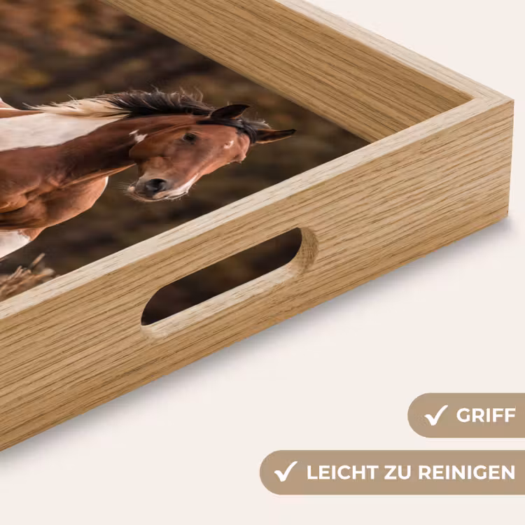 Tablett - Pferd - Braun - Gras — 8
