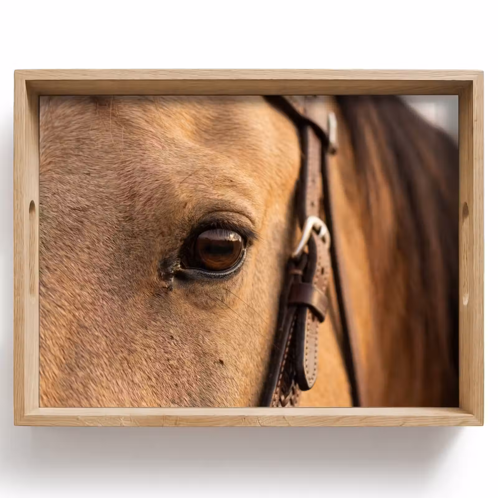 Tablett - Pferd - Auge - Braun — 1