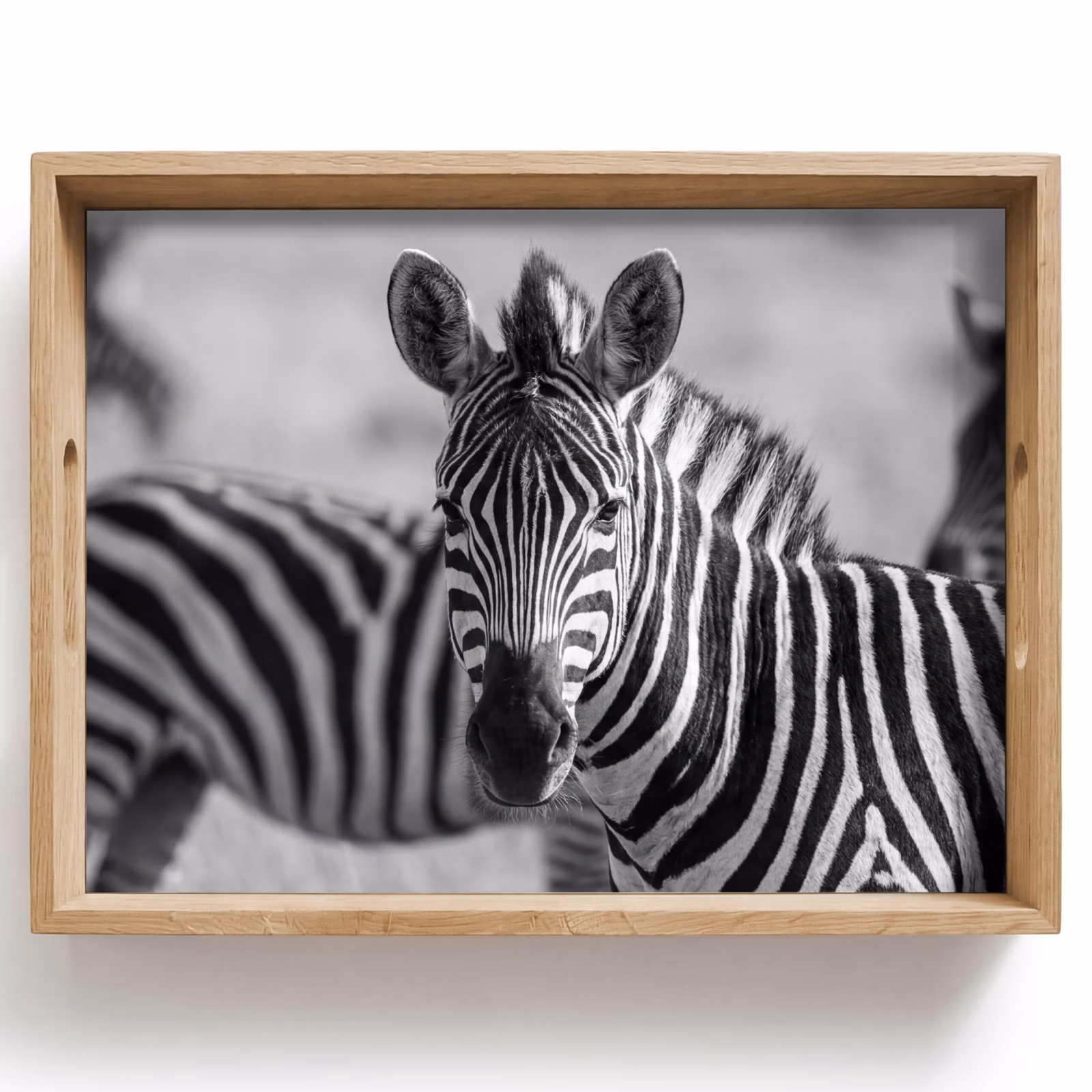 Tablett - Zebras - Schwarz - Weiß — 1