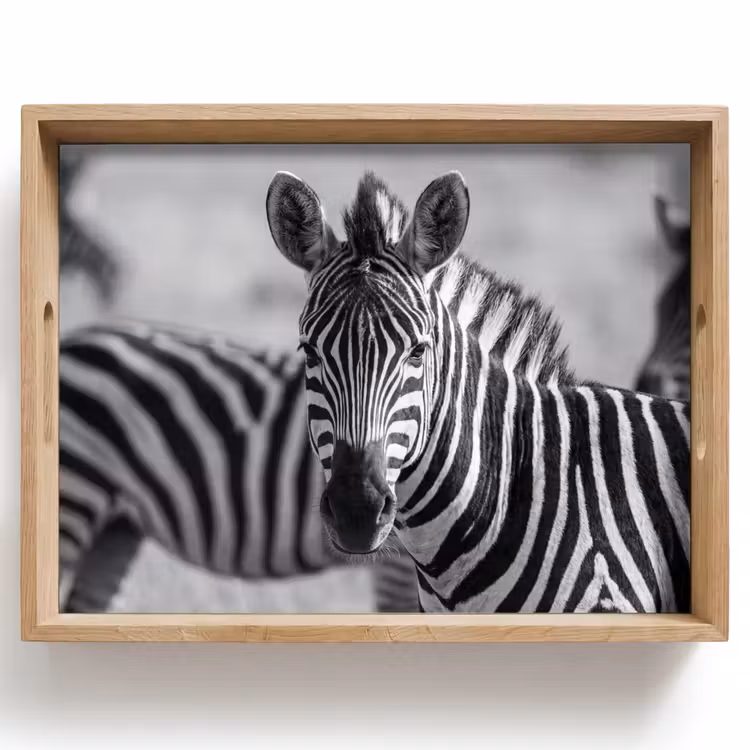 Tablett - Zebras - Schwarz - Weiß — 1