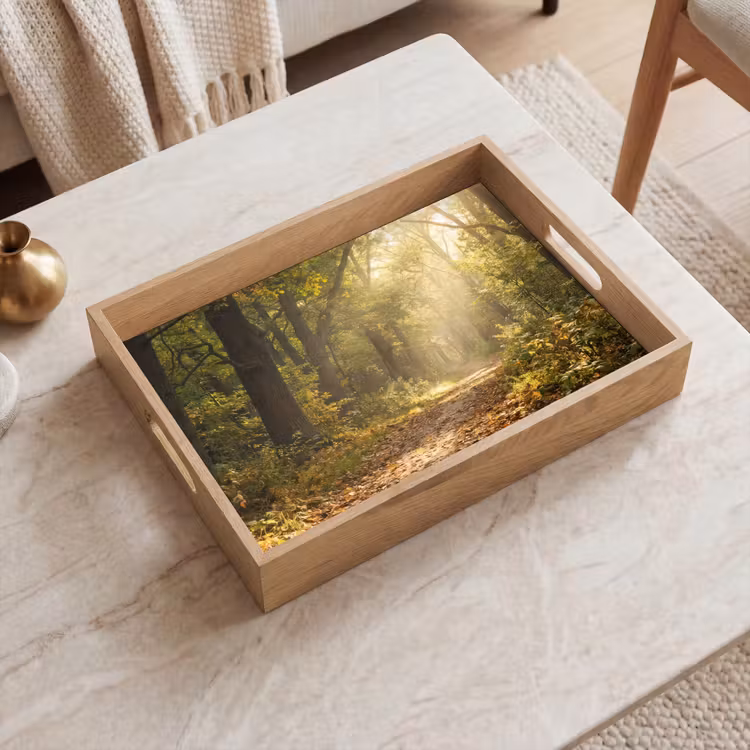 Tablett - Sonnenlicht - Waldweg - Bäume — 2