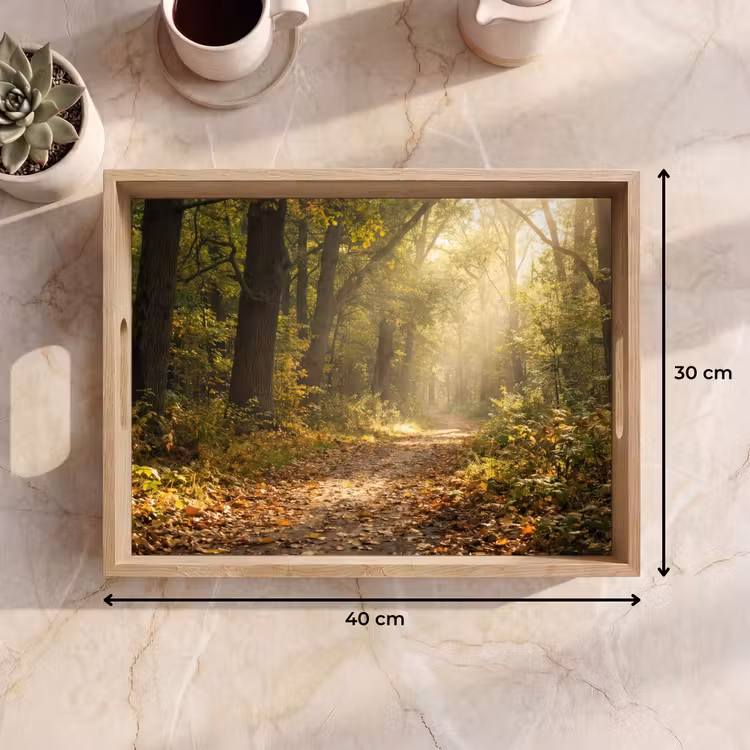 Tablett - Sonnenlicht - Waldweg - Bäume — 7