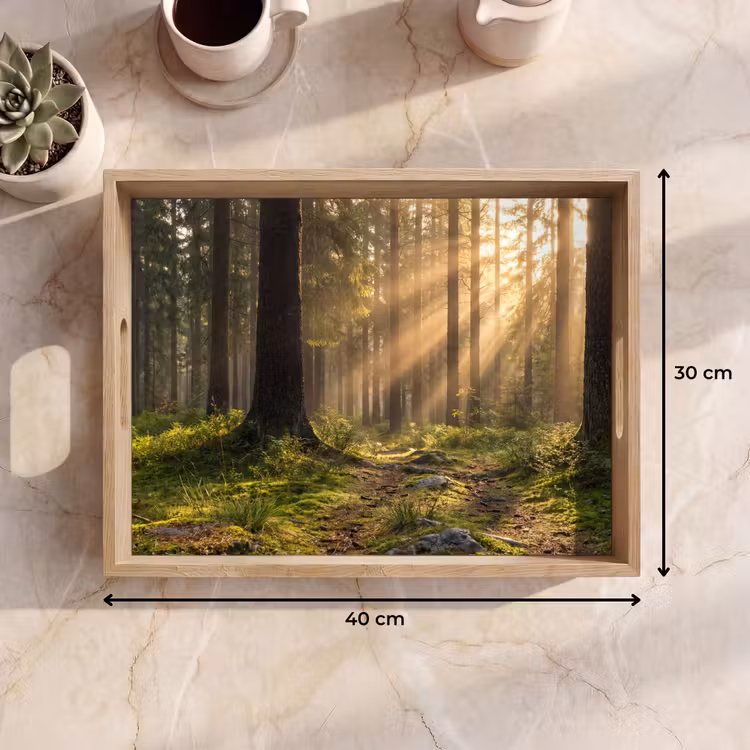 Tablett - Wald - Sonnenlicht - Gras — 7