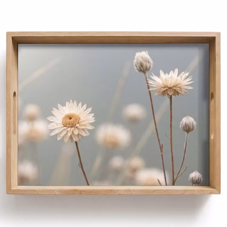 Tablett - Strohblumen - Weiß - Tageslicht — 1
