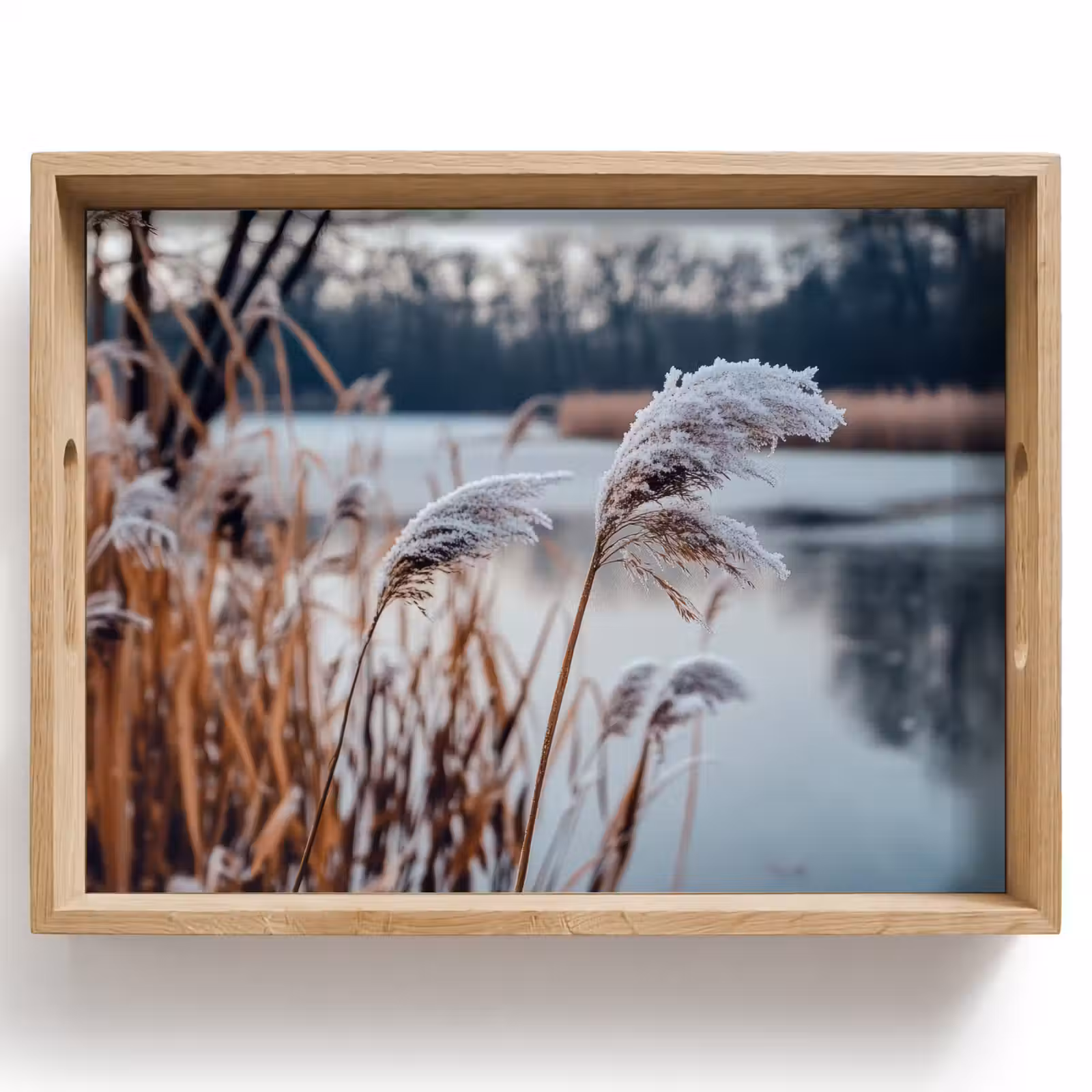 Tablett - Schilf - Gras - Natur - Winter - See — 1