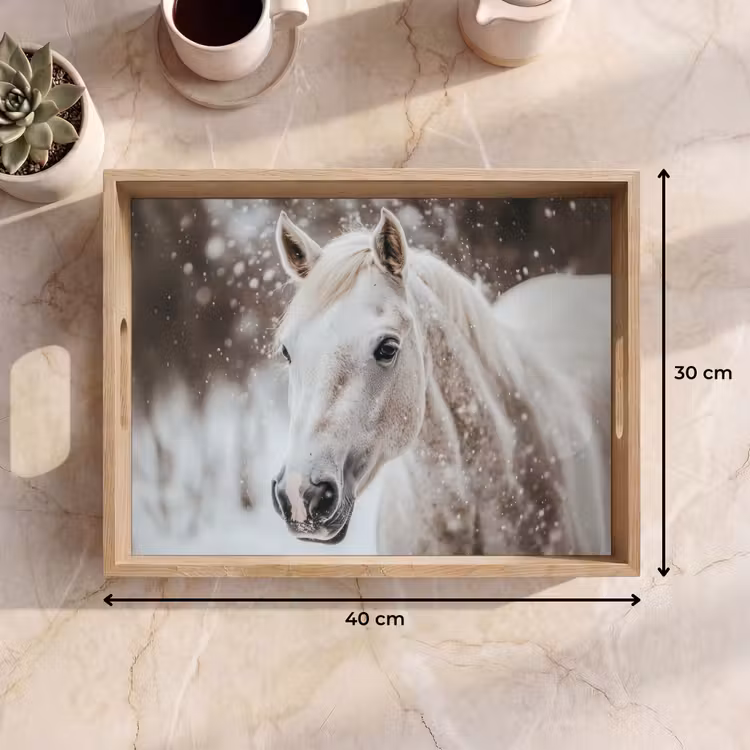 Tablett - Pferd - Weiß - Winter - Natur - Schnee - Tiere — 7