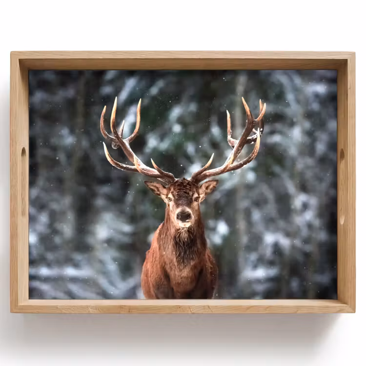 Tablett - Rotwild - Winter - Schnee - Wald - Natur - Tier — 1