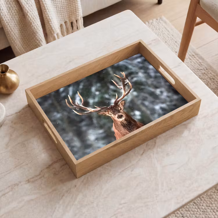 Tablett - Rotwild - Winter - Schnee - Wald - Natur - Tier — 2