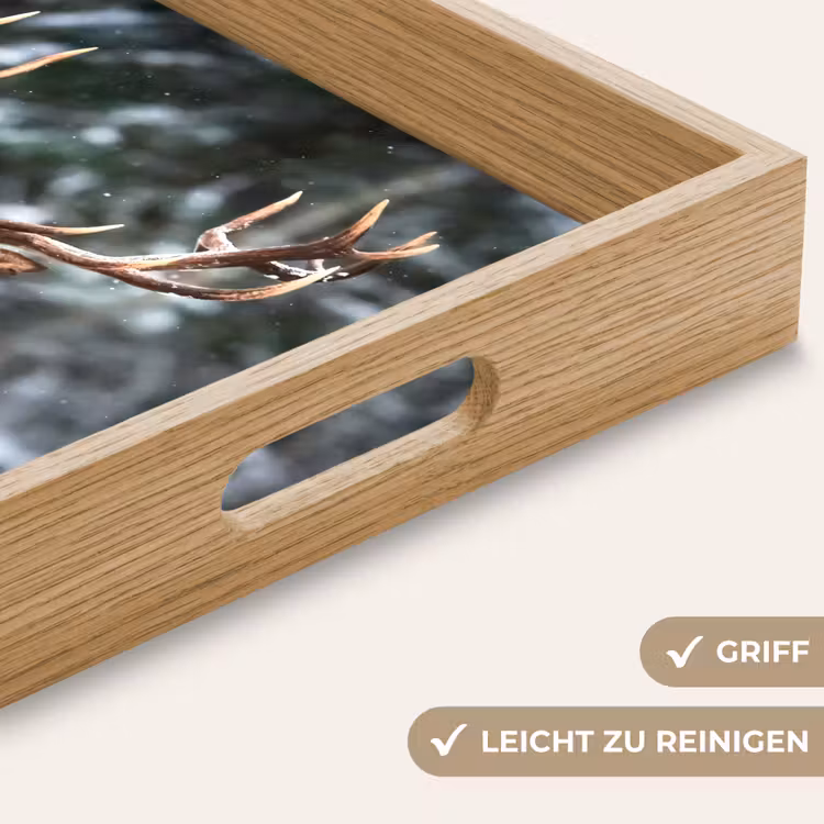 Tablett - Rotwild - Winter - Schnee - Wald - Natur - Tier — 8