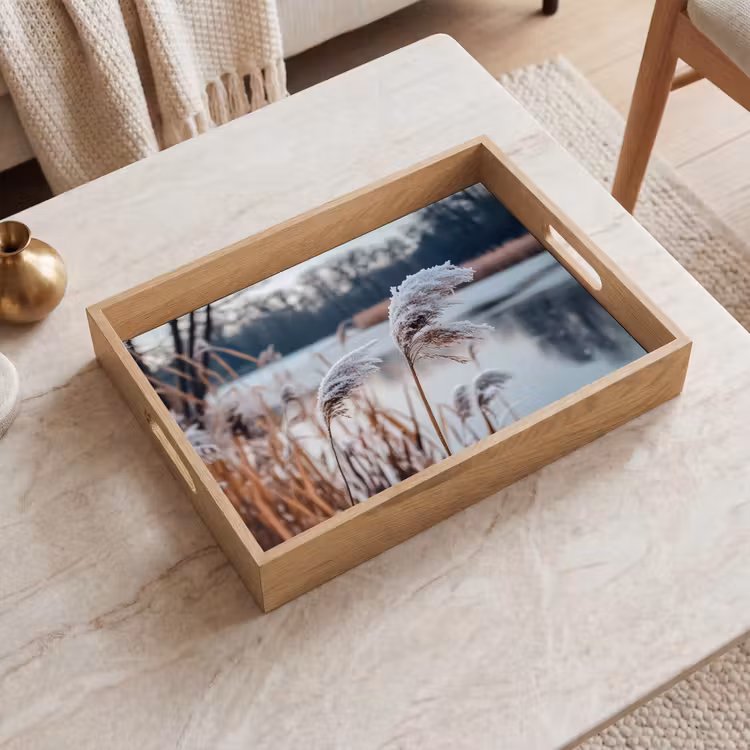 Tablett - Schilf - Gras - Natur - Winter - See — 2