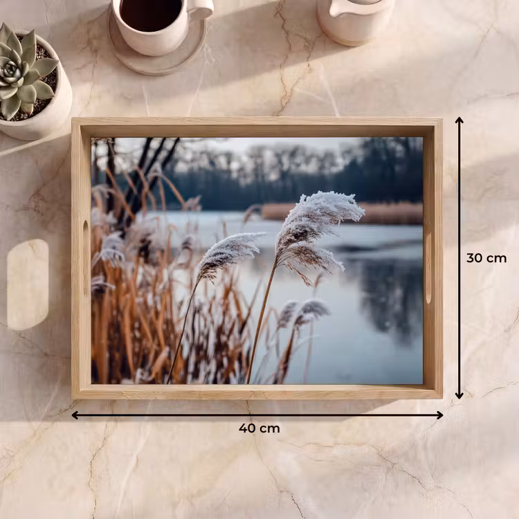 Tablett - Schilf - Gras - Natur - Winter - See — 7
